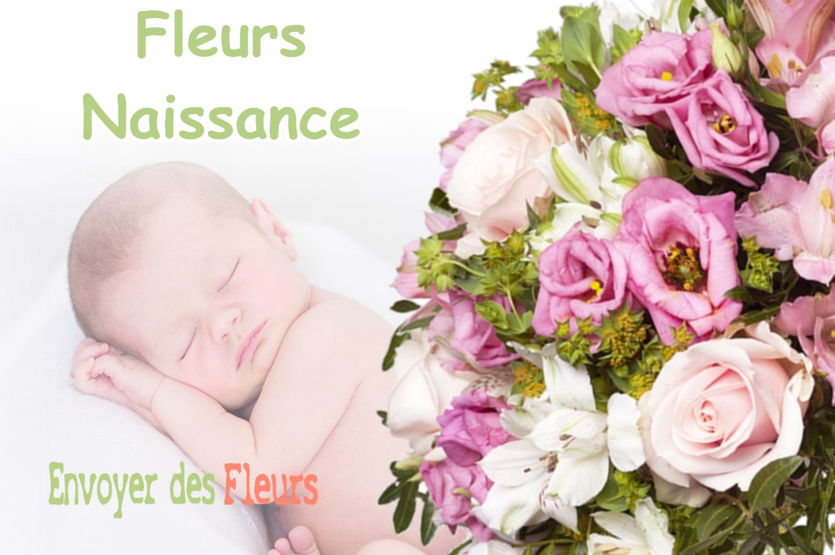 lIVRAISON FLEURS NAISSANCE à LESTELLE-DE-SAINT-MARTORY